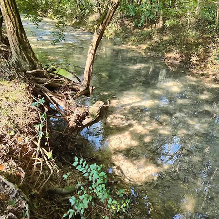 Stanza Due Letti Pensjonat