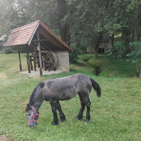 Stanza Due Letti Guest house Passons