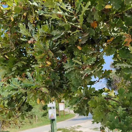 Pensjonat Stanza Due Letti