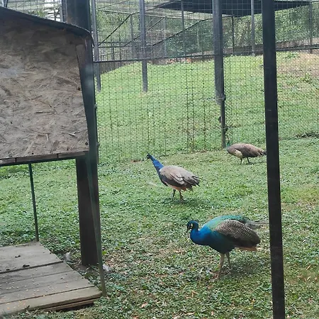 Pensjonat Stanza Due Letti