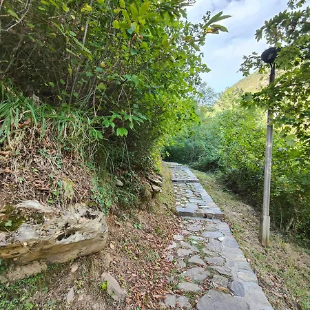 Stanza Due Letti Pensjonat Passons