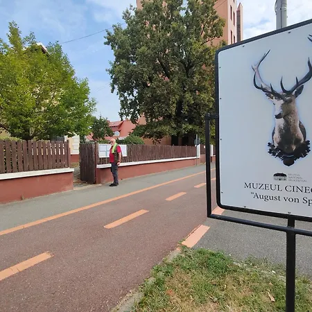 Pensjonat Stanza Due Letti Passons