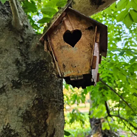 Stanza Due Letti Passons