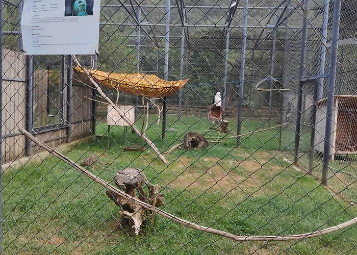 Stanza Due Letti * Passons