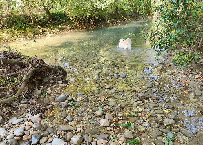 Vendégház Stanza Due Letti *