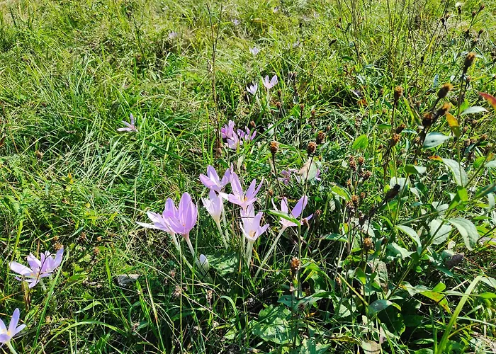 Stanza Due Letti Vendégház Passons