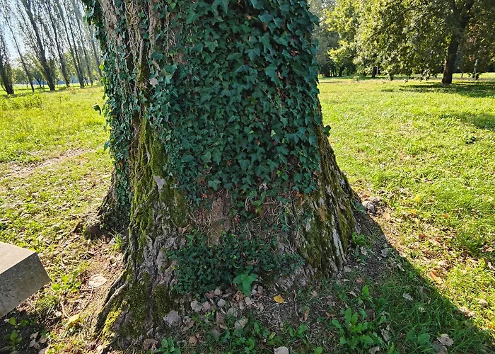 Vendégház Stanza Due Letti Passons
