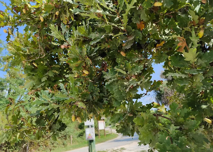 Vendégház Stanza Due Letti