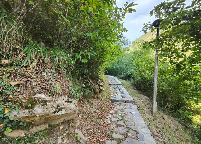 Stanza Due Letti Vendégház Passons