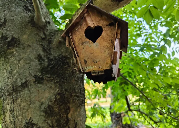 Stanza Due Letti Passons